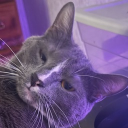 Discord Avatar