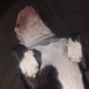 avatar suddenlysporks