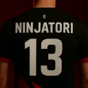 ninja_tc