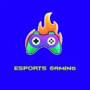 esports_gamers