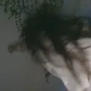 jayhot