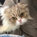 Pockyyy's avatar