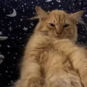 _kruu