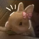 sleepysowoke