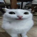 lemondsy