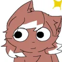 zd.cat