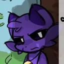 zd.cat