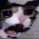 jaykoby