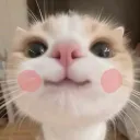 wafermorning