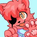 gatodeveloper