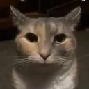 furnace_fangs