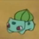 seapik
