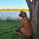 backflipjo#8311's avatar