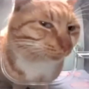 avatar Der-echte_PvP