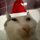 avatar Der-echte_PvP