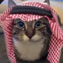 salahcito
