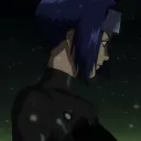 dolphins. avatar