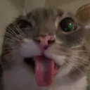 kotuh