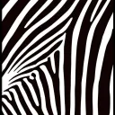 zebragonzo