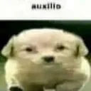 eziojuega
