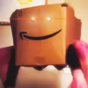 theamazonbox3933