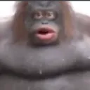 sosodev