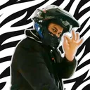 jonttuyt