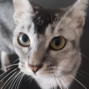 avatar And You Dont Seem To Understand