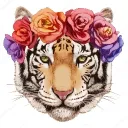 .queencat