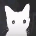 voodoogenius