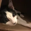 mrshadow2605