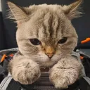 djjino