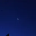 a discord avatar