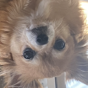 SUPERnoobgamer Avatar