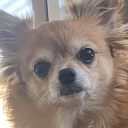 SUPERnoobgamer Avatar