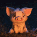 pigbox1