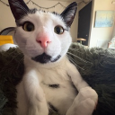 Discord Avatar