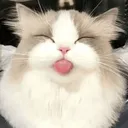 itsopest