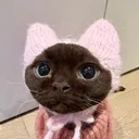 azurluu