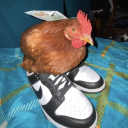 Discord Avatar