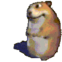 q.n.t