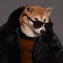 mralv4ro