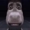 hahausergobrrrrrr