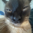 maddox4965#7638's avatar