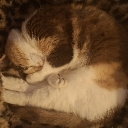 avatar xJuultieee_💙