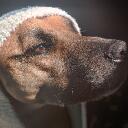 shadow_780