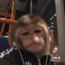 xilos_