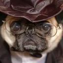 _pugg