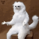 avatar JNVCK | CRYPTO CAFÉ