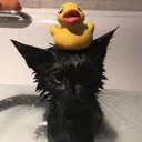 luluenft